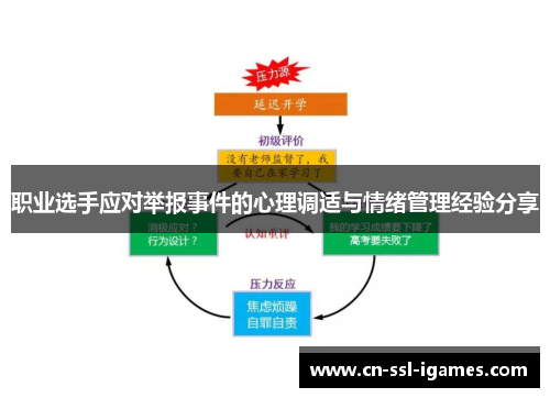 职业选手应对举报事件的心理调适与情绪管理经验分享