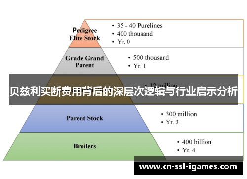 贝兹利买断费用背后的深层次逻辑与行业启示分析 贝兹利买断费用背后的深层次逻辑与行业启示分析