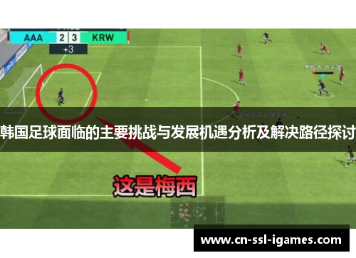 韩国足球面临的主要挑战与发展机遇分析及解决路径探讨