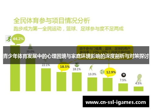 青少年体育发展中的心理困境与家庭环境影响的深度剖析与对策探讨